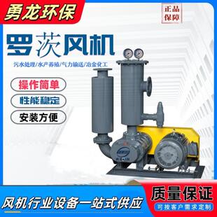 三叶罗茨鼓风机污水处理曝气风机水产养殖气力输送罗茨增氧机