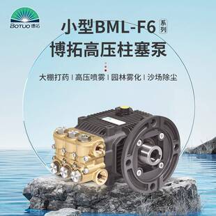 各类高压柱塞泵供应BML F6农用打药机喷雾机加湿器洗车清洗机水泵