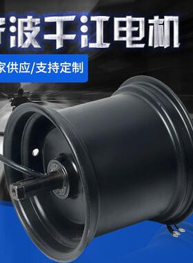 厂家供应48-60V直流无刷电机500-1000W哈雷赛夫电动车电机