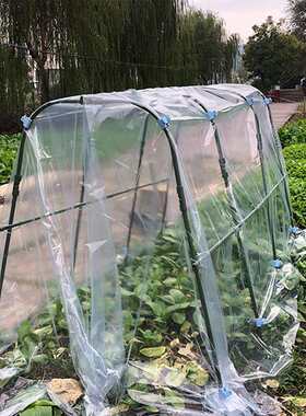 保温棚蔬菜薄膜菜园架棚架种菜暖房大棚支架阳台多肉家用防寒架子