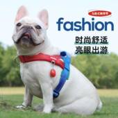 狗狗牵引绳新款 宠物胸背带加宽织带撞色拼接不勒狗胸背户外遛狗绳