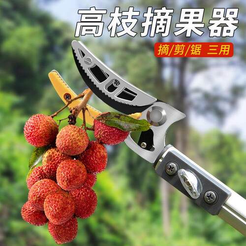摘果神器修枝剪伸缩高空摘水果剪刀加长高枝剪采摘龙眼荔枝枇杷杏