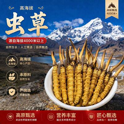 正品那曲头期草新鲜冬虫夏草西藏虫草0.8克/根鲜虫草经营店礼盒装