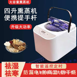 厂家直供家用大容量4升熏蒸机蒸汽机熏蒸仪桑拿浴箱汗蒸房