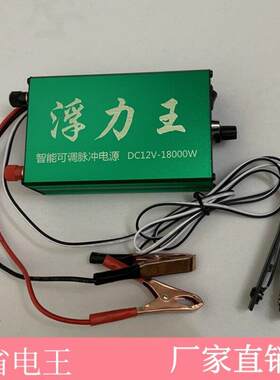 新款小型小体积逆变器机头小功率12V电瓶升压器迷你机头浮力吸王