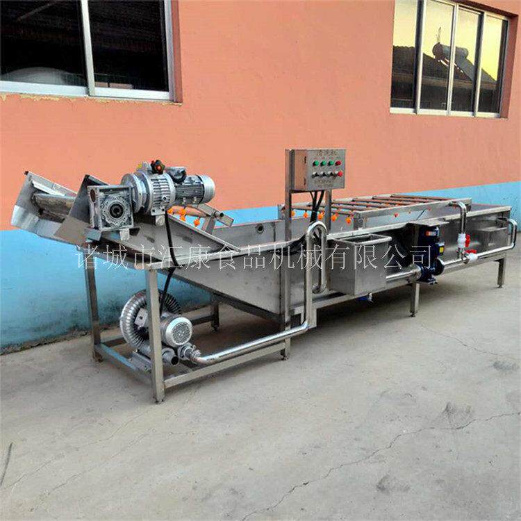 叶菜翻浪清洗机 水浴式水果鼓风清洗机器 自动调速果蔬清洗设备