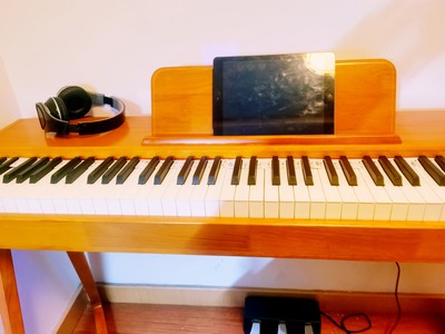 业界评测罗萨电钢琴怎么样?音质音色好不好呢?