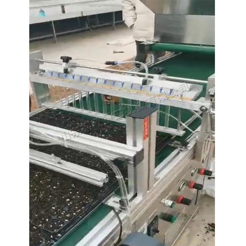 大FSI棚种植种子播种机 土辣苗椒种茄子种育点种机铺 压穴播种一