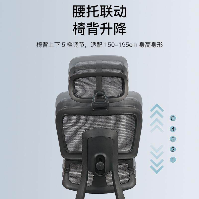 人体工学椅员工办公椅学生宿舍可调5D腰托升降电脑椅网吧电竞椅子