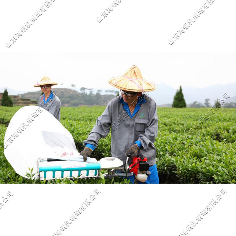 小型单人茶园采茶机 背负式春茶茶叶收获机 云南双刃弧形采茶机