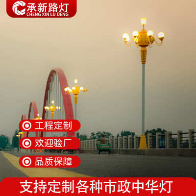 户外莲花造型玉兰灯 广场道路9米led中华灯八叉5火名族文化景观灯