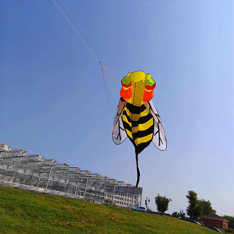 软体蜜蜂小蜂王风筝3d网红无需组装大人小孩易放飞动物软体风筝厂,运动/瑜伽/健身/球迷用品,风筝,淘宝优惠券,粉丝福利购,淘宝优惠卷