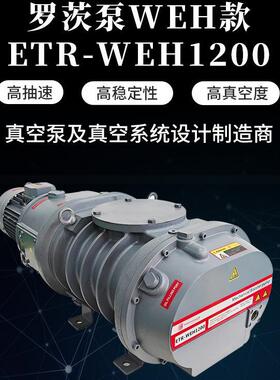 罗茨真空泵ETR-WEH1200真空干燥冷冻干燥用抽真空机