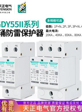 天正TGDY55II浪涌电涌保护器2P/3P+N/4P二级防雷避雷器20KA40KA