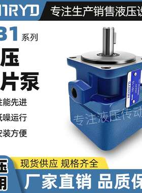 YB1叶片泵YB1-6.3/10/12.5/16/20/25/32/40/50/63/80/100液压油泵