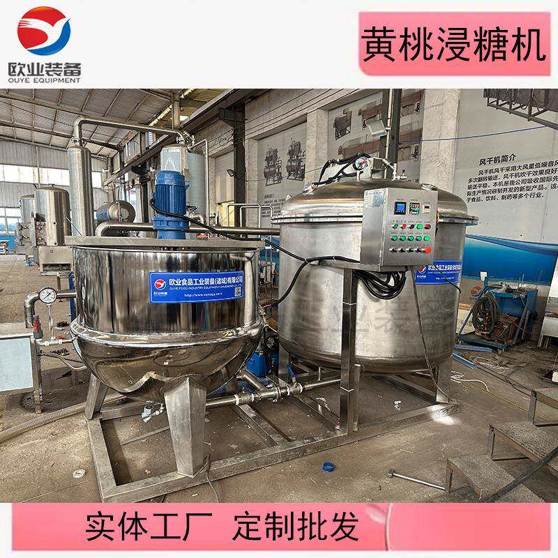 黄桃干加工设备果脯干真空浸糖锅杏脯真空浸糖机果脯加工设备