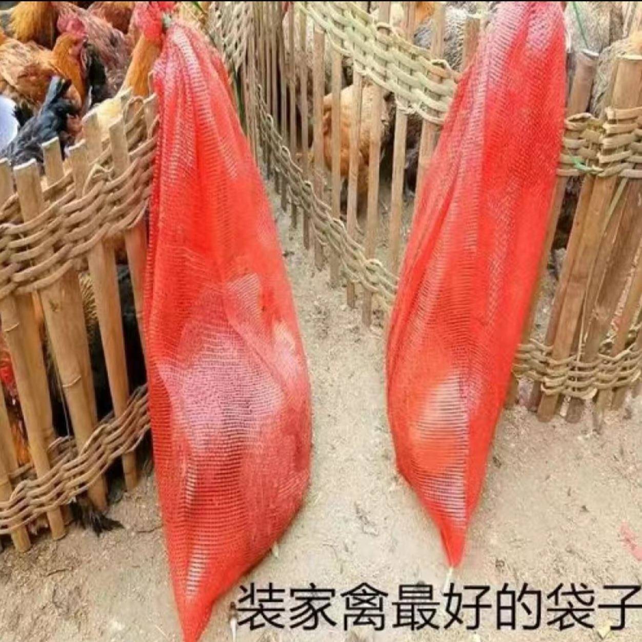 装鸡网袋装鸡袋网袋玉米网袋加厚加密大号蔬菜网袋网兜其他