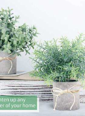 人造盆栽植物假桉树植物迷你塑料绿草带花盆家居餐桌装饰3件套装