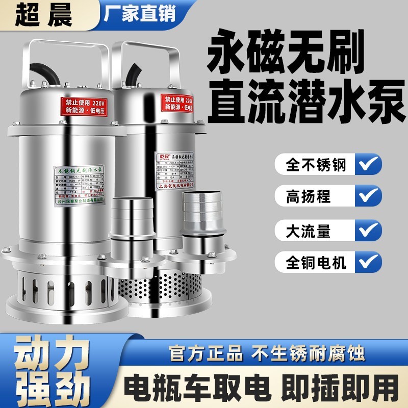 耐腐蚀304不锈钢无刷直流泵化工抽水机48V60V72V潜水泵电动车泵铜