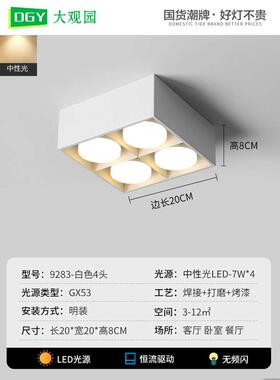 极简明装筒灯无主灯客厅照明led射灯方形斗胆灯卧室灯吸顶灯R274