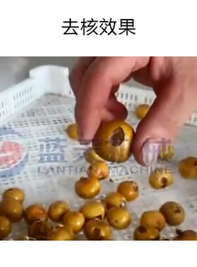 桂圆去核 机器 全自动龙眼去核机生电动枝商用鲜荔去核设备NWX产