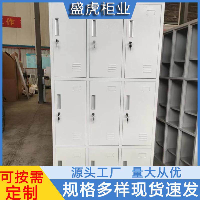 铁皮更衣柜宿舍寝室带锁储物柜健身房浴室更衣柜工厂车间鞋柜