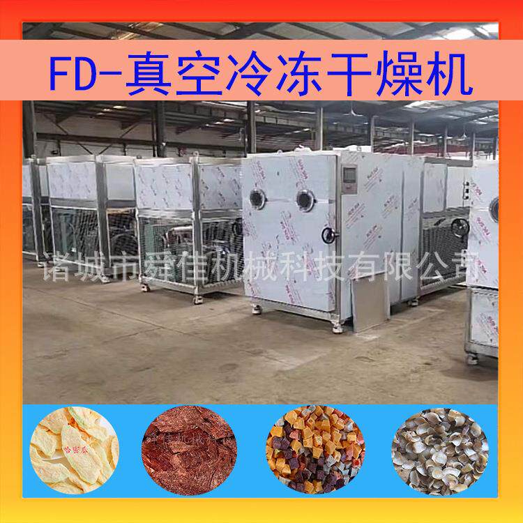 厂家供应真空冷冻烘干机 黑水虻土元低温脱水冻干机 昆虫冻干机