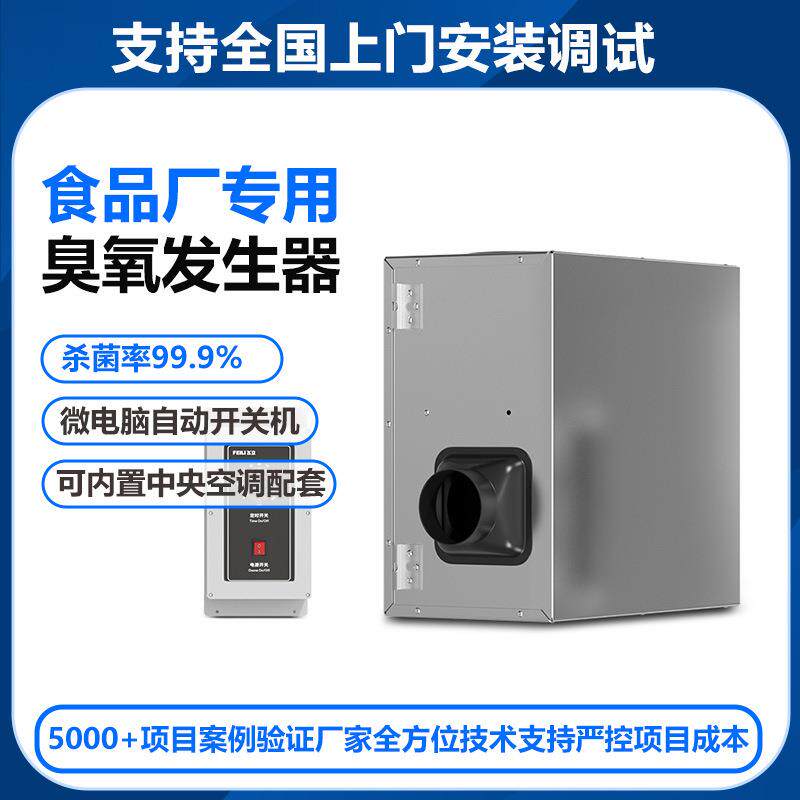 飞立洁净车间空气净化臭氧机 除霉菌除异味消毒悬挂式臭氧发生器