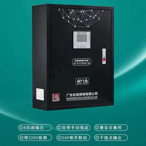 分a型配电箱kva控制300w500w1w消防eps集中/应急照明电源灯具东君