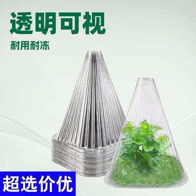 Plant protection cover for seedlings, providing insulation,