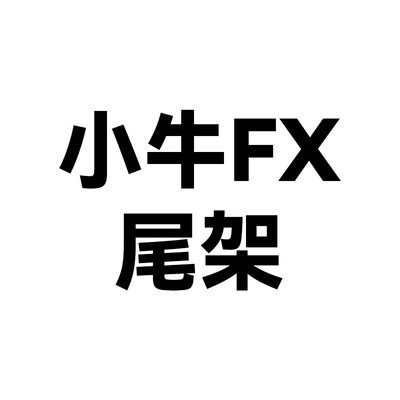 小牛FX后货架