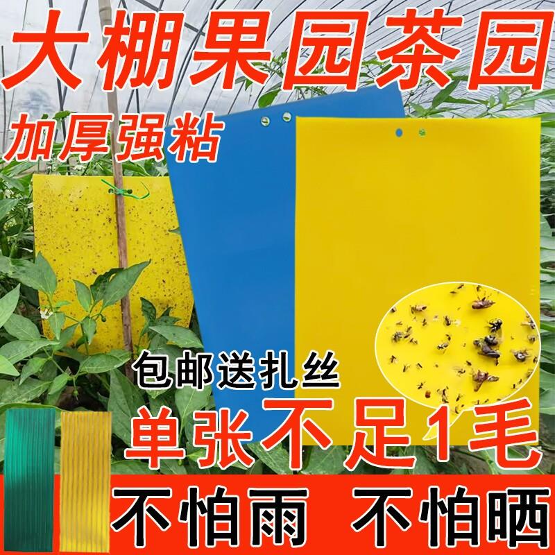 粘虫板双面特粘诱虫板黄板蓝板粘虫纸贴蓟马小飞虫果园大棚黄板纸