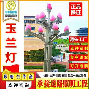 LED玉兰灯户外市政路灯防水中华灯广场景观高杆灯LED照明路灯杆