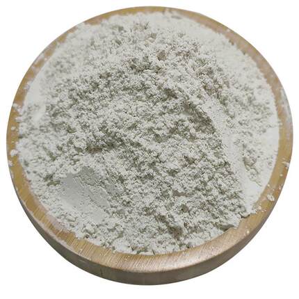 供应涂料用2附000壳目贝壳UFA粉 吸性好煅烧贝粉 饲用料贝壳粉