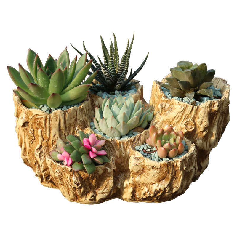 厂家仿木植物盆 多肉花盆创意径微景观肉肉植物小号多孔树根造型,鲜花速递/花卉仿真/绿植园艺,花盆,淘宝优惠券,粉丝福利购,淘宝优惠卷
