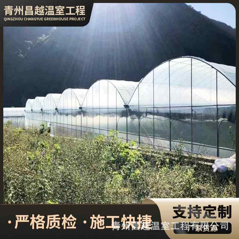 po膜覆盖连栋薄膜温室大棚水果花卉种植全自动农业温室大棚