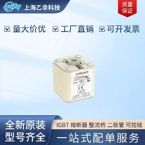 巴斯曼熔断器 170M3495 170M3496 170M3497 170M3508 170M3509