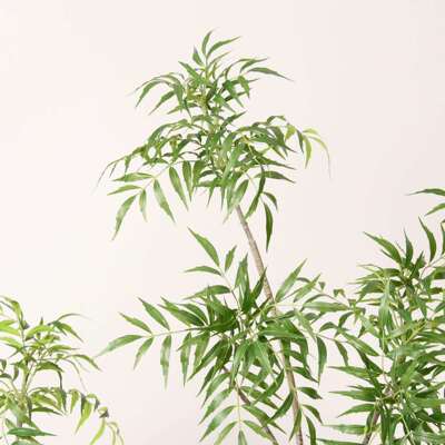 仿真十大功劳假植物室内客厅装饰落地盆栽假绿植橱窗竹叶草南天竹