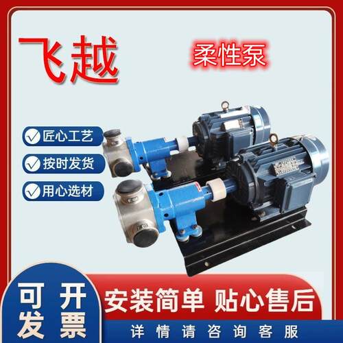 RZB挠性泵硅胶叶轮304泵头耐高温便携式豆浆泵木耳浆自吸式浆料泵