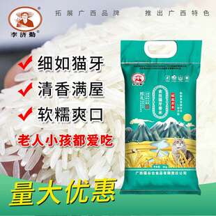 正宗猫牙米大米10斤一袋优质籼米炒饭煲仔饭用长粒香大米