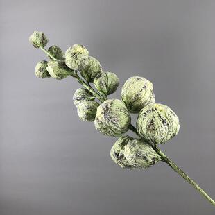 禁果设计师花束抽象果实艺风格列花艺术套装 餐厅陈装饰EVA-001VE