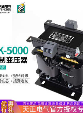天正BK-5000VA全铜W单相控制变压器380V变220V变220V隔离变压器