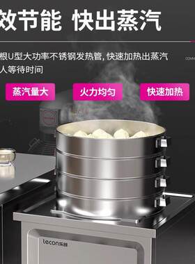 创电商用蒸包炉自动进水LC-ZLSY防干功烧蒸气炉大率蒸炉乐早餐店