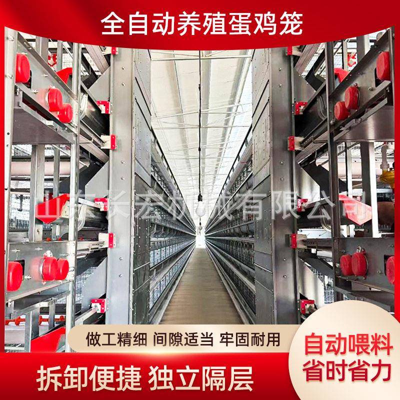 蛋鸡笼鸽子笼养殖场肉鸡A型笼层叠式养鸡设备肉鸡H型笼养殖鹌鹑笼