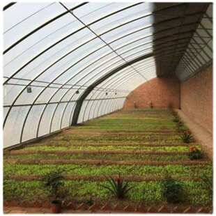 春秋拱棚冷棚暖棚 日光温室大棚 新型大棚全套