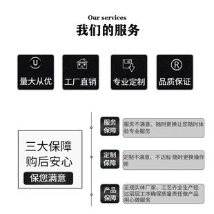BL2838 微型直流无刷减速电机 12V24V内置驱动 385无刷小马达电机