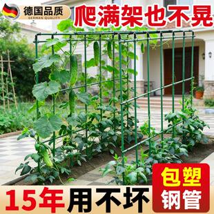 黄瓜爬藤架豆角架杆搭棚子支架种菜丝瓜西瓜撑杆葡萄架子庭院户外