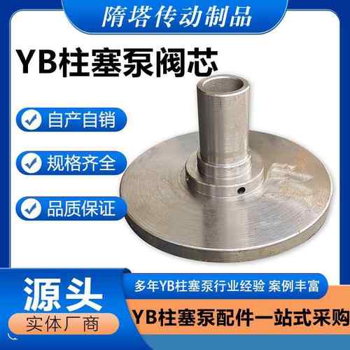 华星科虹咸阳柱塞泵阀芯 陶瓷柱塞泵原厂配件大全 污水泵阀芯阀座