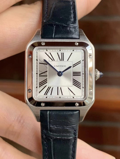 先鉴后发盒证98新38*27.5mm卡地亚山度士WSSA0023石英女表正品