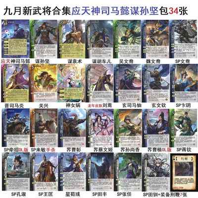 三国应天神司马懿谋孙坚杀司马炎关兴孔淑张任田丰卡牌